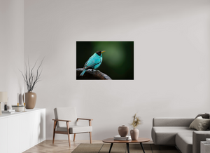 Centerpiece, Green Honeycreeper