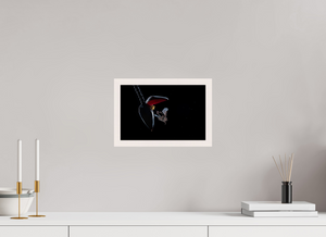 Sugar Shower, Nectar Bat