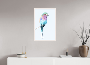 African Pastels, Lilac-Breasted Roller