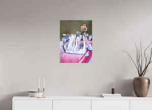 Looney Tunes, American Kestrel