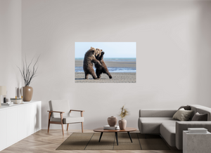 Sibling Rivalry, Alaskan Coastal Brown Bear Cubs