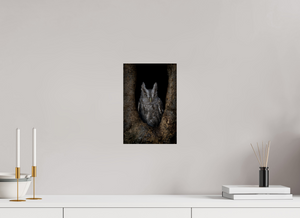 Observation, Pacific Screech Owl