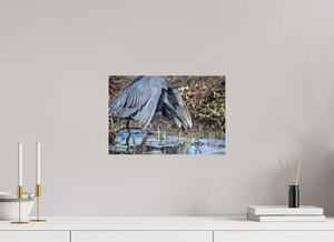 Under The Umbrella, Black Heron