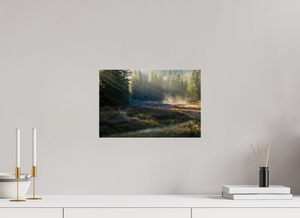 Ethereal Forest, Montenegro