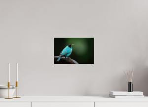 Centerpiece, Green Honeycreeper