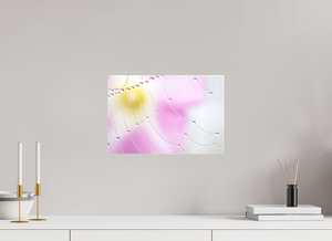 Spider's Treasure, Maine