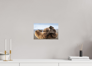 The Nursery Hour, Alaska