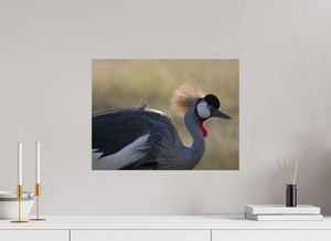 Rouge Details, Crowned Crane