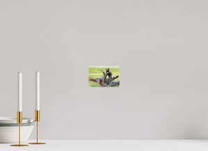 Branching Out, Alaskan Coastal Brown Bear Cub