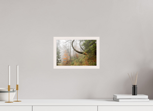 Imaginarium Opus, Slovenia