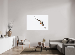 The Provider, Tufted Puffin