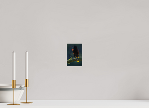 Master of Ceremonies, Montezuma Oropendola