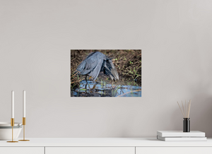 Under The Umbrella, Black Heron