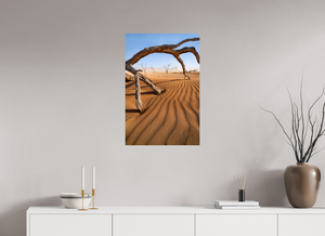 Talons of Decay, Namibia