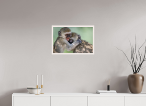 Primal Emotion, Vervet Monkey