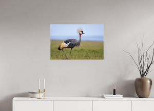 Strictly Formal, Crowned Crane