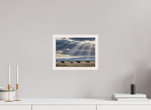 Following Tradition, Elephant