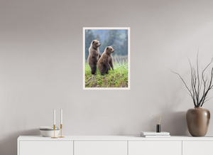 Double Trouble, Alaskan Coastal Brown Bear Cubs
