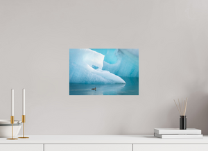 Frozen Eider, Iceland