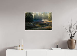 Ethereal Forest, Montenegro