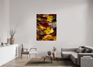 Leaf Litter, Croatia