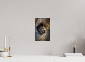 Treasure Chest, Maine