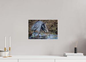 Under The Umbrella, Black Heron