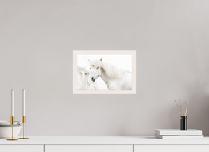 Transparency, Iceland