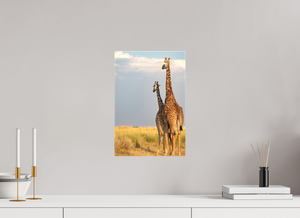 Head in the Clouds, Giraffe