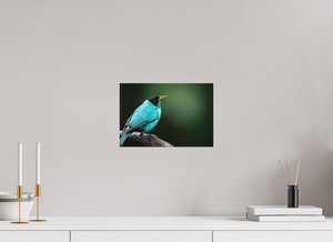 Centerpiece, Green Honeycreeper