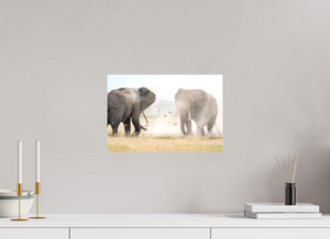 War and Peace, Elephant