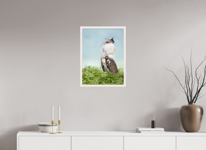 Spring Fancy, Kori Bustard