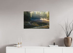 Ethereal Forest, Montenegro