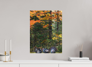 Signs of the Season, Turkey