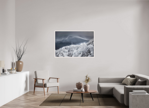 Shape of the Wind, New Zealand