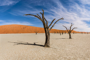Namibia Photo Safari 2027