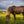 Iceland Photo Tour 2025