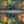 Maine Fall Colors Photo Tour 2025