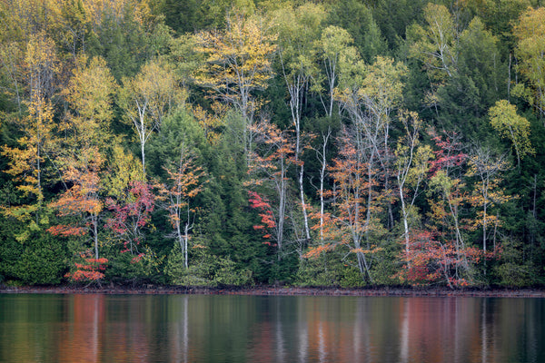 Maine Fall Colors Photo Tour 2025