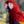 Colors of the Tropics, Scarlet Macaw