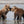 Alaska Photo Safari 2025