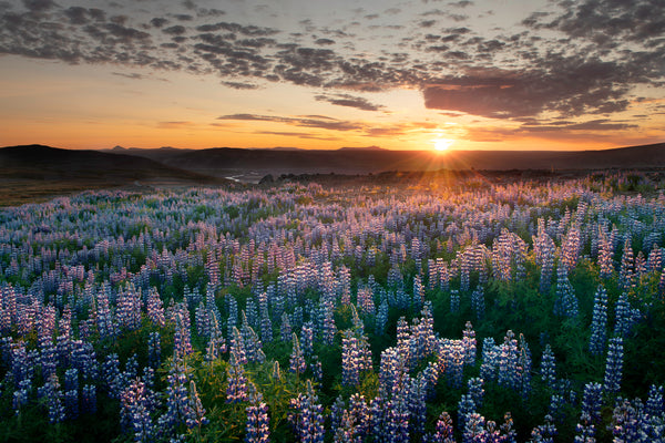 Iceland Photo Tour 2025