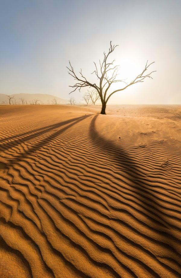 Desolation, Namibia