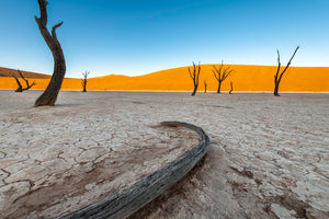 Namibia Photo Safari 2027