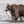 Alaska Photo Safari 2025