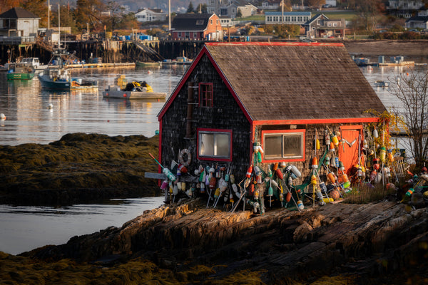 Maine Fall Colors Photo Tour 2025