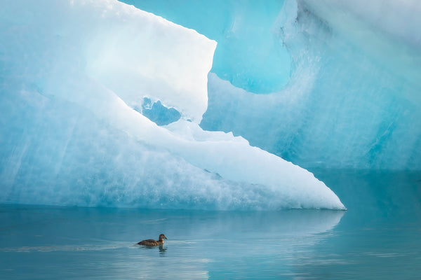 Iceland Photo Tour 2025