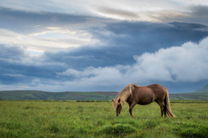 Iceland Photo Tour 2025