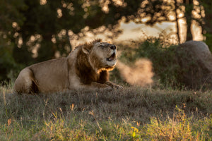 Tanzania Great Migration Photo Safari 2026