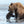 Alaska Photo Safari 2025